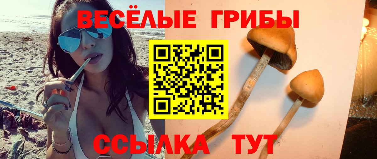 Ейск  Псилоцибиновые грибы Magic Shrooms  Вход с VPN 